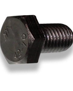 Hexagon head screw M 12x 20 SST DIN 933